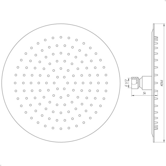 Душевая лейка Globus Lux ST-0250-R-BB